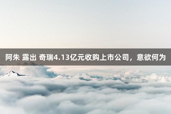 阿朱 露出 奇瑞4.13亿元收购上市公司，意欲何为