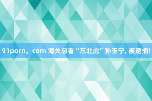 91porn。com 海关总署“东北虎”孙玉宁， 被逮捕!