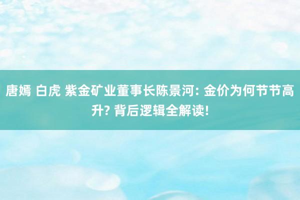 唐嫣 白虎 紫金矿业董事长陈景河: 金价为何节节高升? 背后逻辑全解读!