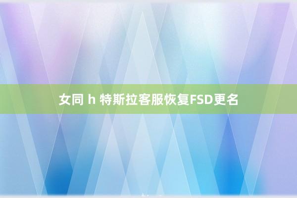 女同 h 特斯拉客服恢复FSD更名