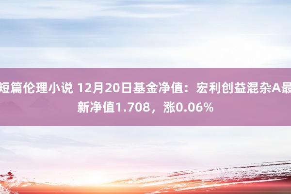 短篇伦理小说 12月20日基金净值：宏利创益混杂A最新净值1.708，涨0.06%