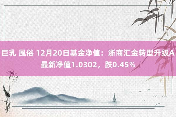 巨乳 風俗 12月20日基金净值：浙商汇金转型升级A最新净值1.0302，跌0.45%