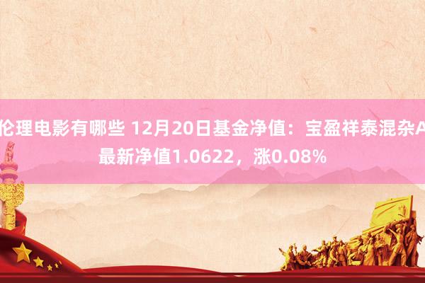 伦理电影有哪些 12月20日基金净值：宝盈祥泰混杂A最新净值1.0622，涨0.08%