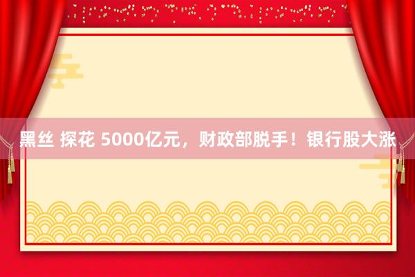 黑丝 探花 5000亿元，财政部脱手！银行股大涨