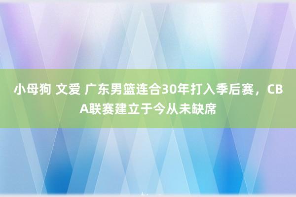 小母狗 文爱 广东男篮连合30年打入季后赛，CBA联赛建立于今从未缺席