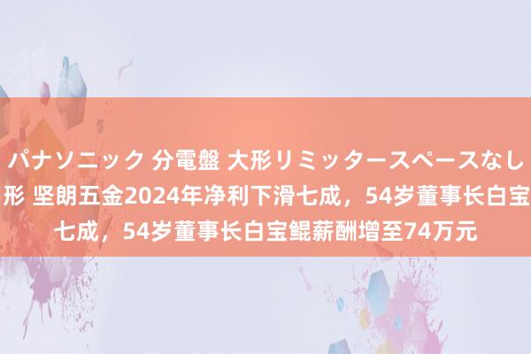 パナソニック 分電盤 大形リミッタースペースなし 露出・半埋込両用形 坚朗五金2024年净利下滑七成，54岁董事长白宝鲲薪酬增至74万元