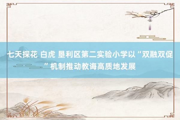 七天探花 白虎 垦利区第二实验小学以“双融双促”机制推动教诲高质地发展