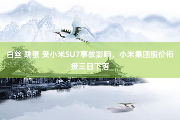 白丝 跳蛋 受小米SU7事故影响，小米集团股价衔接三日下落