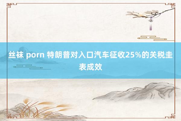 丝袜 porn 特朗普对入口汽车征收25%的关税圭表成效