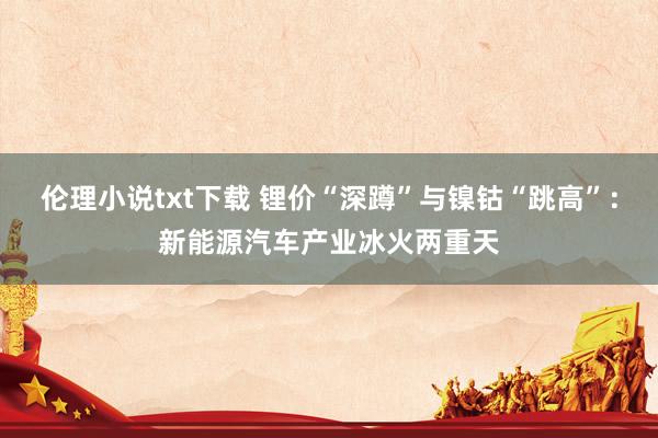 伦理小说txt下载 锂价“深蹲”与镍钴“跳高”：新能源汽车产业冰火两重天