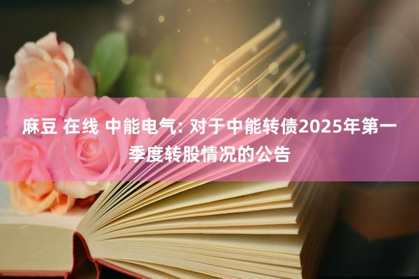 麻豆 在线 中能电气: 对于中能转债2025年第一季度转股情况的公告