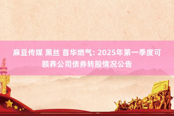麻豆传媒 黑丝 首华燃气: 2025年第一季度可颐养公司债券转股情况公告