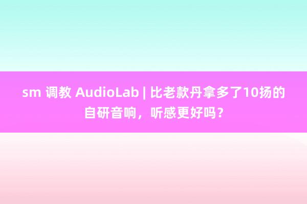sm 调教 AudioLab | 比老款丹拿多了10扬的自研音响，听感更好吗？