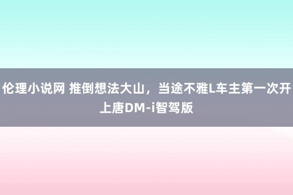 伦理小说网 推倒想法大山，当途不雅L车主第一次开上唐DM-i智驾版