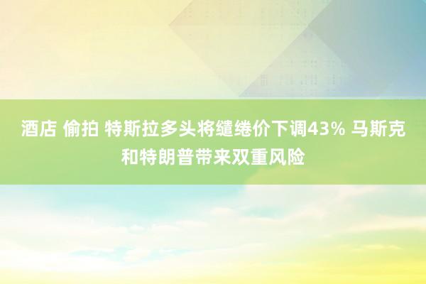 酒店 偷拍 特斯拉多头将缱绻价下调43% 马斯克和特朗普带来双重风险