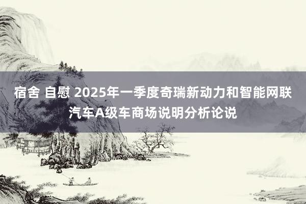 宿舍 自慰 2025年一季度奇瑞新动力和智能网联汽车A级车商场说明分析论说