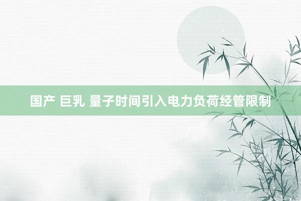 国产 巨乳 量子时间引入电力负荷经管限制