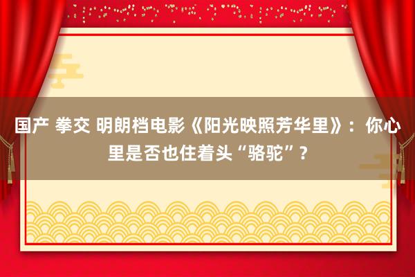 国产 拳交 明朗档电影《阳光映照芳华里》：你心里是否也住着头“骆驼”？