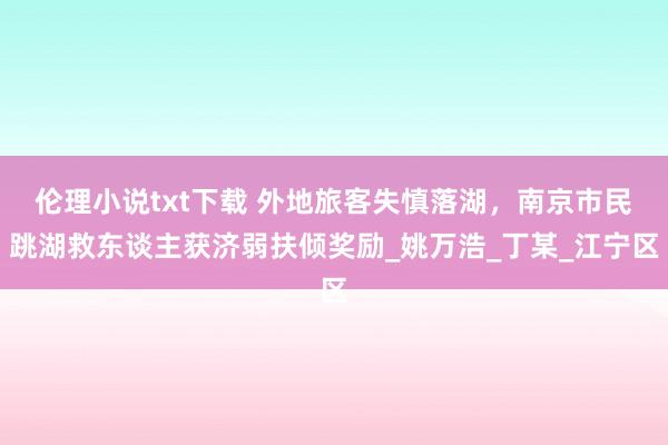 伦理小说txt下载 外地旅客失慎落湖，南京市民跳湖救东谈主获济弱扶倾奖励_姚万浩_丁某_江宁区
