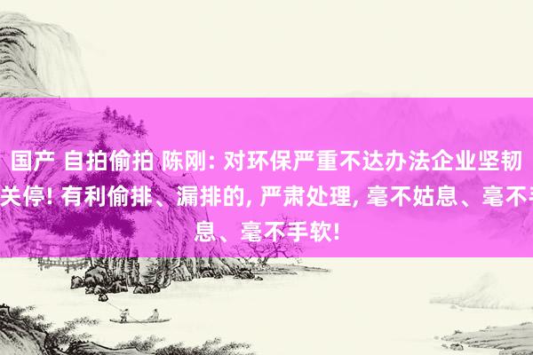 国产 自拍偷拍 陈刚: 对环保严重不达办法企业坚韧赐与关停! 有利偷排、漏排的， 严肃处理， 毫不姑息、毫不手软!