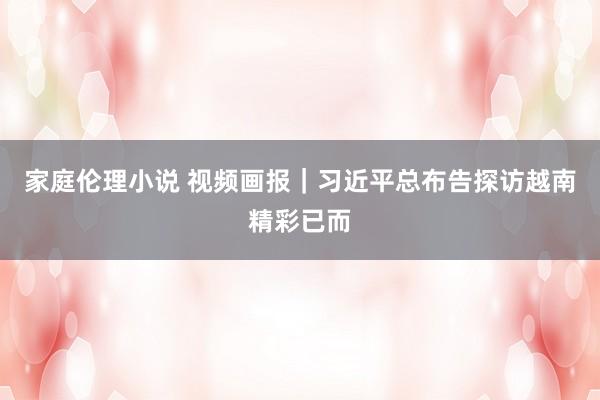 家庭伦理小说 视频画报｜习近平总布告探访越南精彩已而