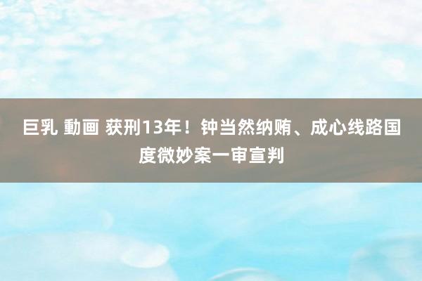 巨乳 動画 获刑13年！钟当然纳贿、成心线路国度微妙案一审宣判
