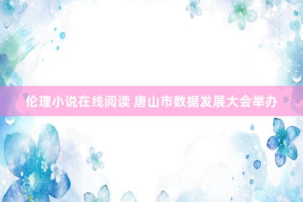 伦理小说在线阅读 唐山市数据发展大会举办