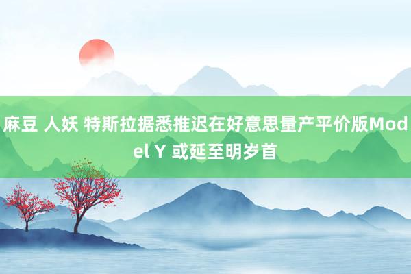 麻豆 人妖 特斯拉据悉推迟在好意思量产平价版Model Y 或延至明岁首