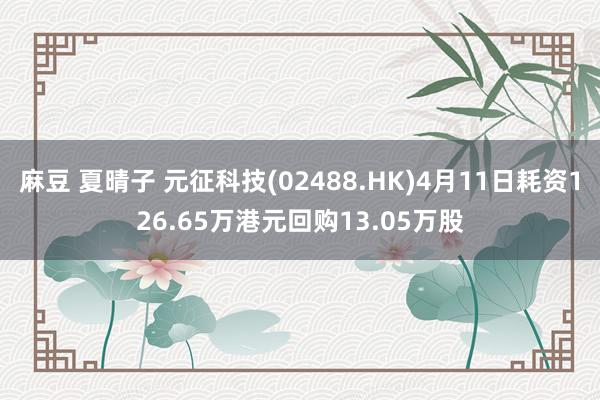 麻豆 夏晴子 元征科技(02488.HK)4月11日耗资126.65万港元回购13.05万股