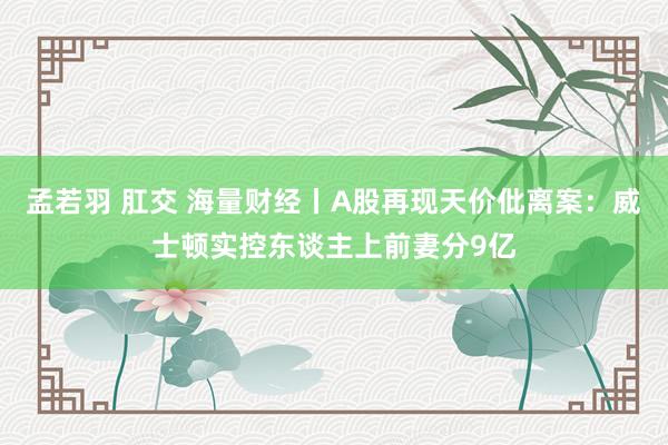 孟若羽 肛交 海量财经丨A股再现天价仳离案：威士顿实控东谈主上前妻分9亿