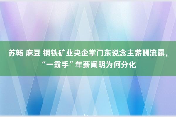 苏畅 麻豆 钢铁矿业央企掌门东说念主薪酬流露，“一霸手”年薪阐明为何分化