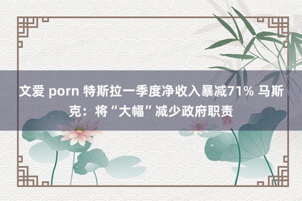 文爱 porn 特斯拉一季度净收入暴减71% 马斯克：将“大幅”减少政府职责