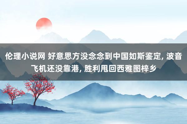 伦理小说网 好意思方没念念到中国如斯鉴定， 波音飞机还没靠港， 胜利甩回西雅图梓乡