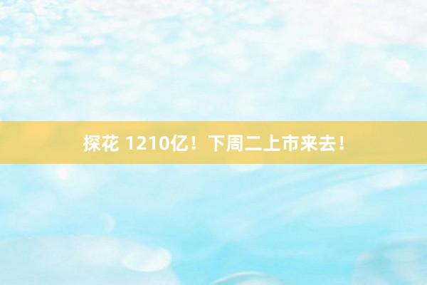 探花 1210亿！下周二上市来去！
