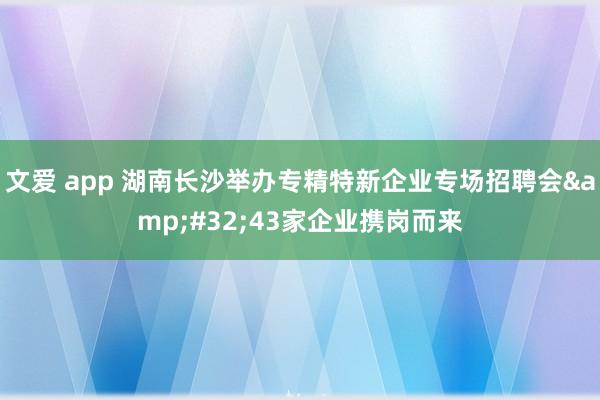 文爱 app 湖南长沙举办专精特新企业专场招聘会&#32;43家企业携岗而来