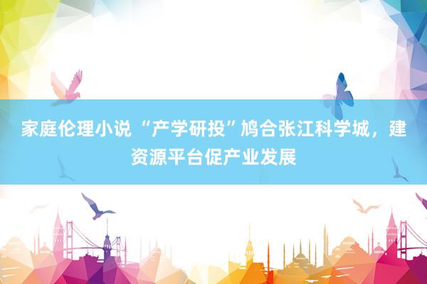 家庭伦理小说 “产学研投”鸠合张江科学城，建资源平台促产业发展