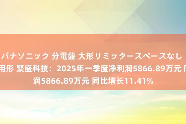 パナソニック 分電盤 大形リミッタースペースなし 露出・半埋込両用形 繁盛科技：2025年一季度净利润5866.89万元 同比增长11.41%