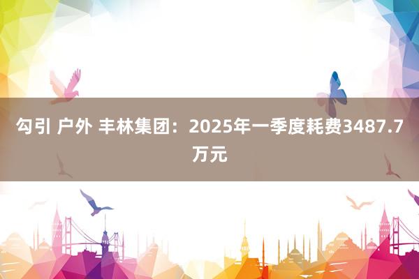 勾引 户外 丰林集团：2025年一季度耗费3487.7万元