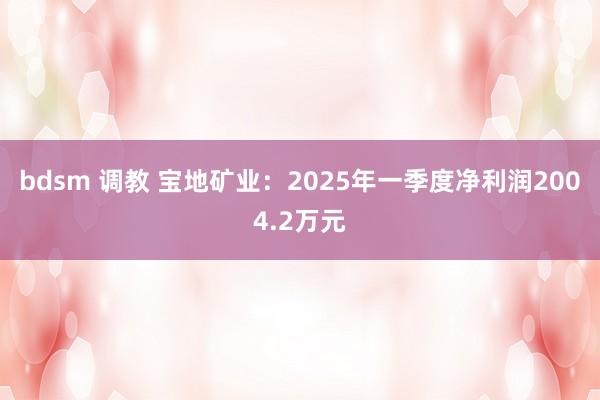 bdsm 调教 宝地矿业：2025年一季度净利润2004.2万元