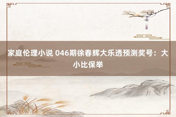 家庭伦理小说 046期徐春辉大乐透预测奖号：大小比保举