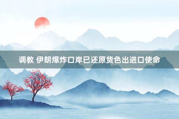 调教 伊朗爆炸口岸已还原货色出进口使命